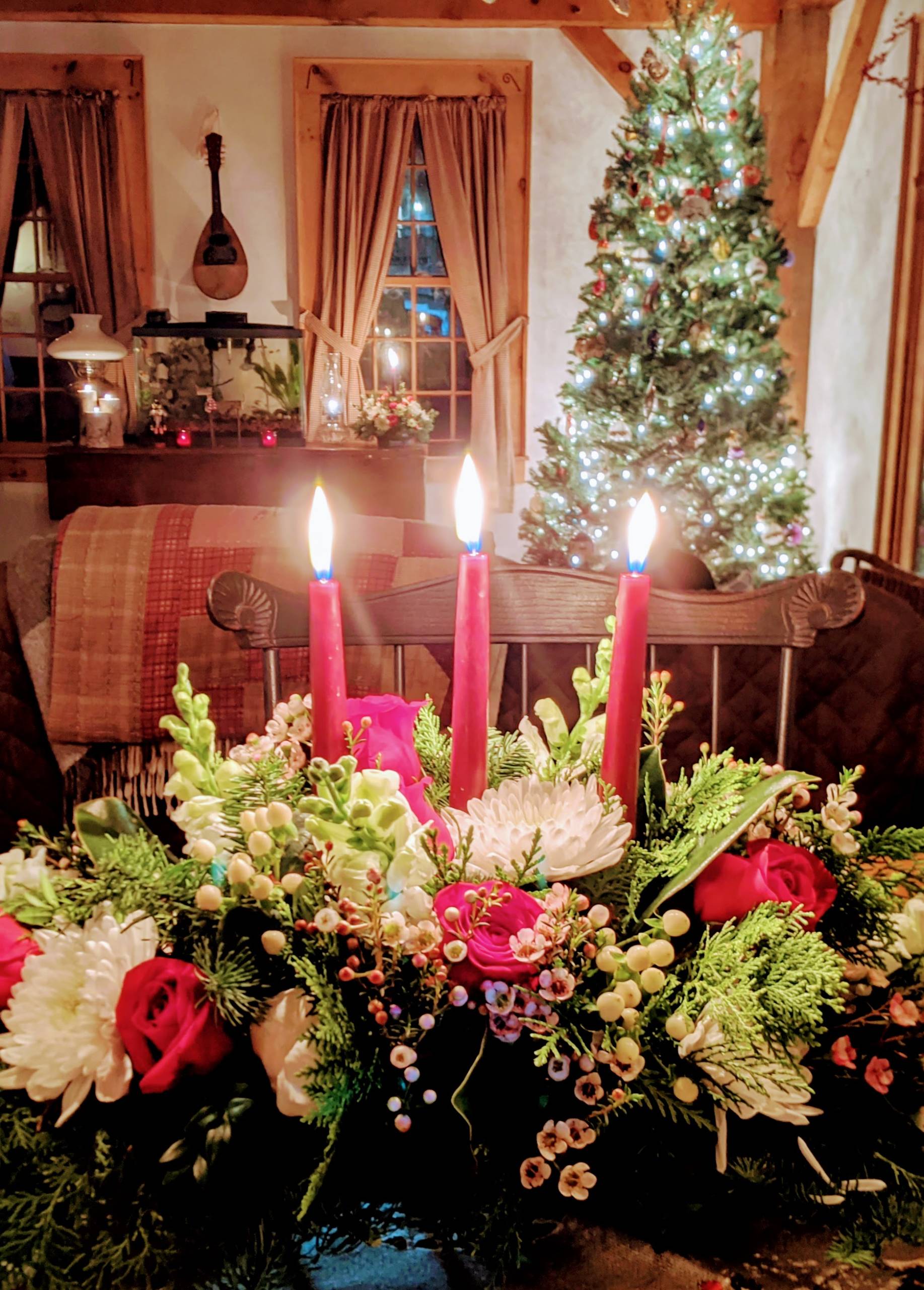 Declaring Christmas Peace
