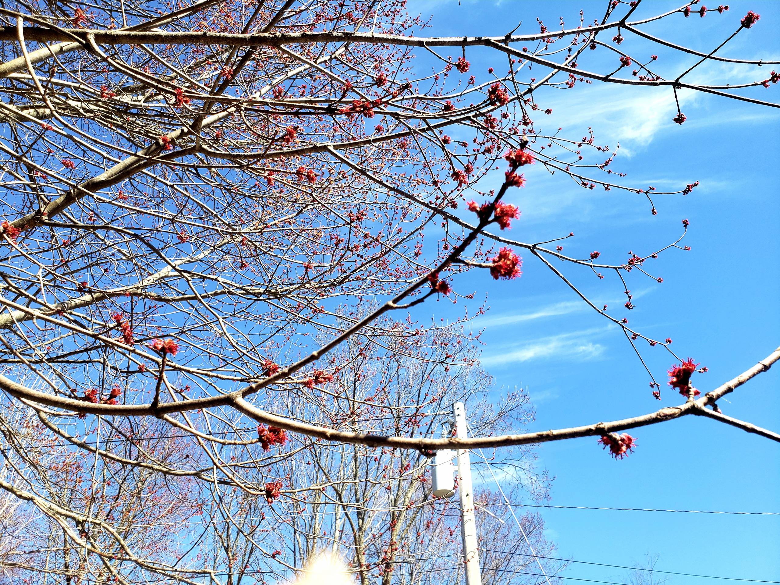 New Life, The Wheel Turns