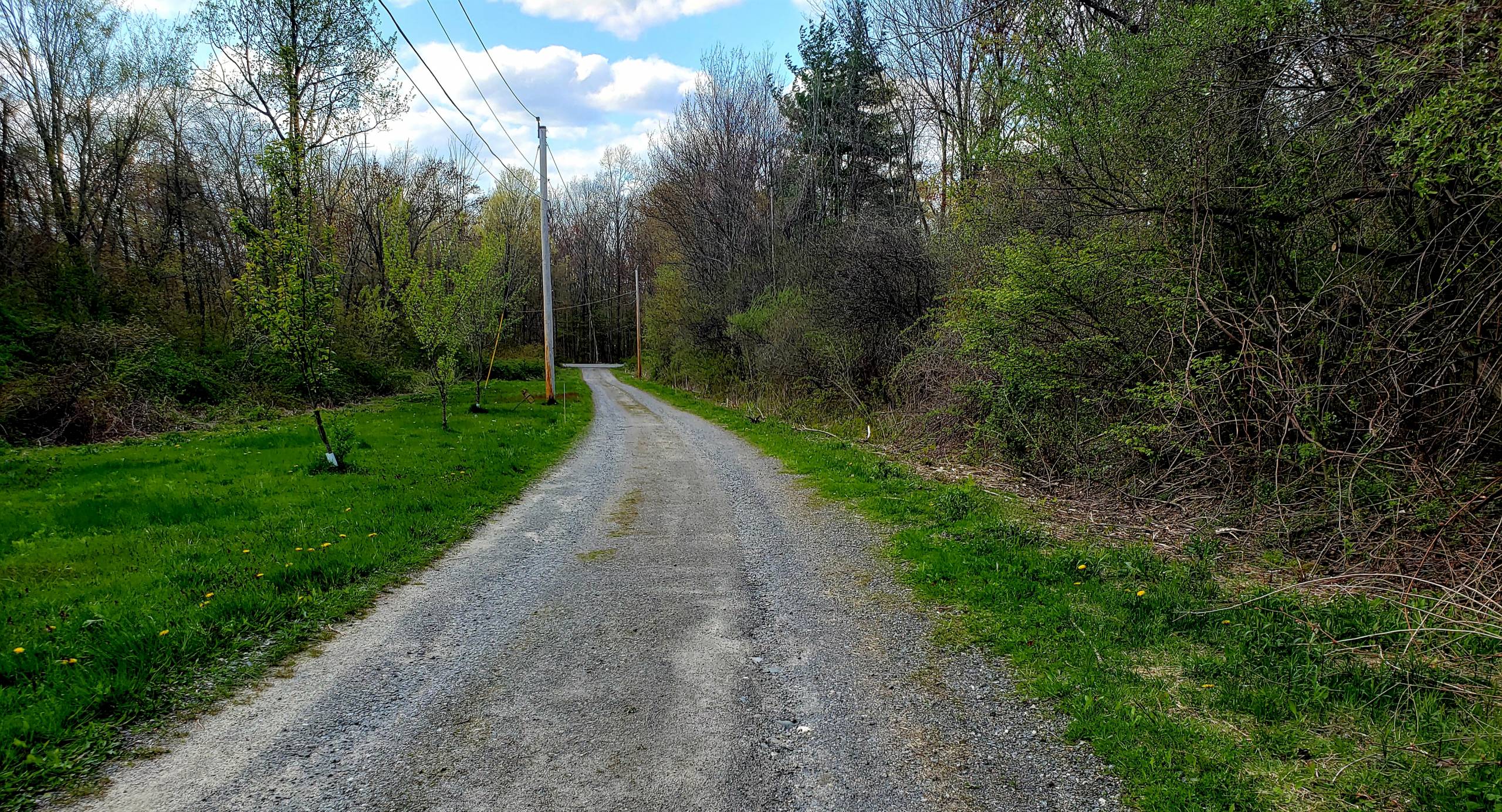 My Old Country Road