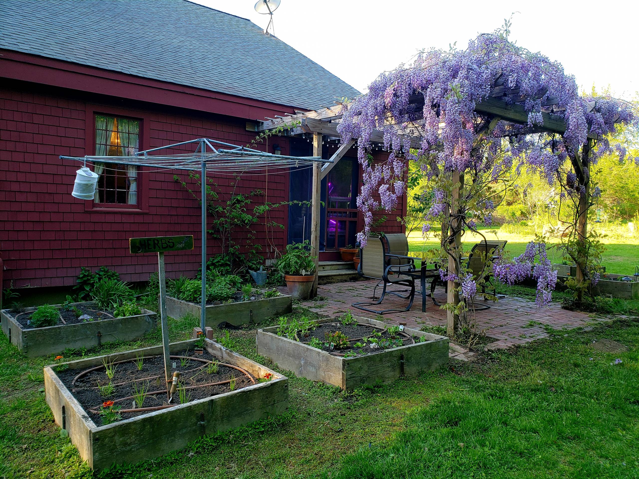 The Humming Bird Herb Garden