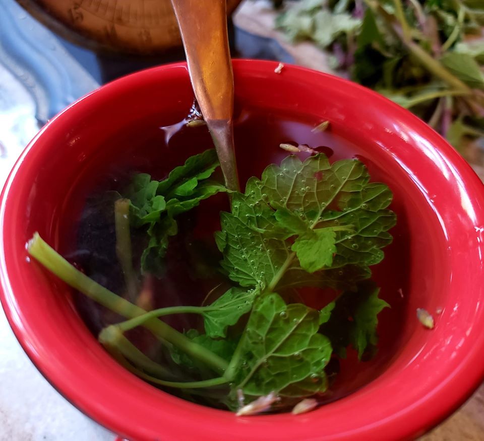 Lavender Lemon Balm Tea