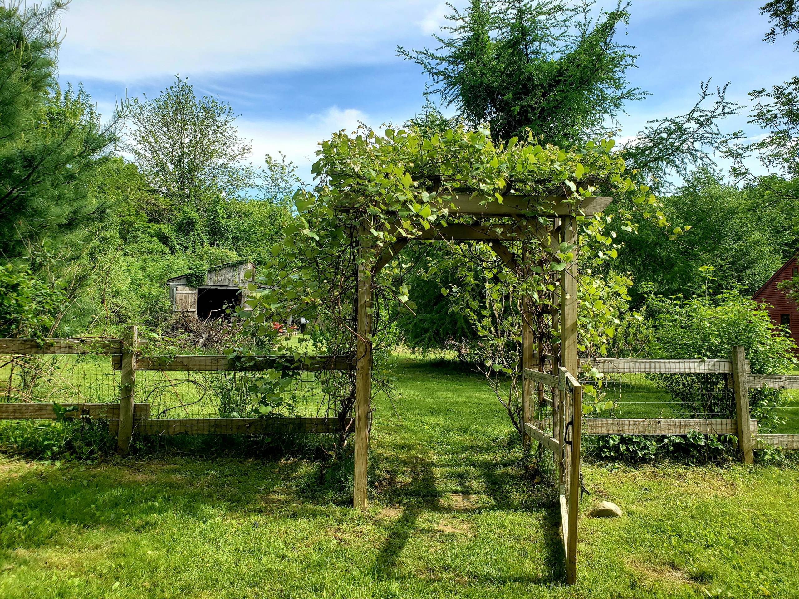 In The Secret Garden