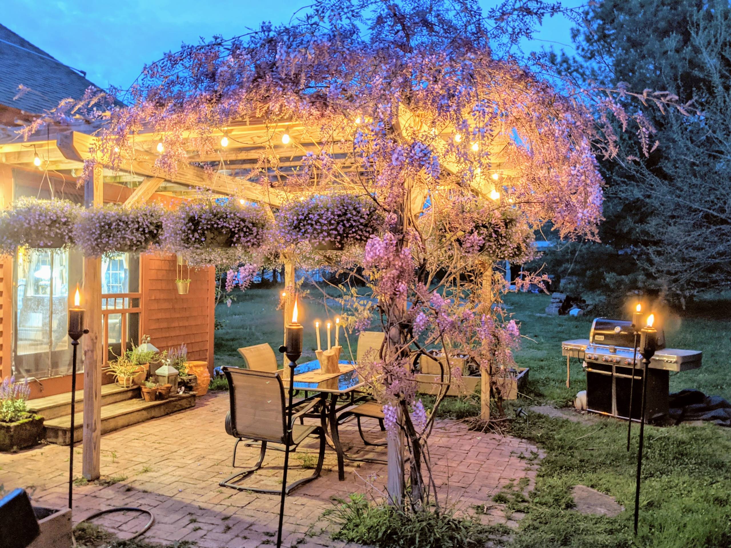The Wildflower Farm Book Club