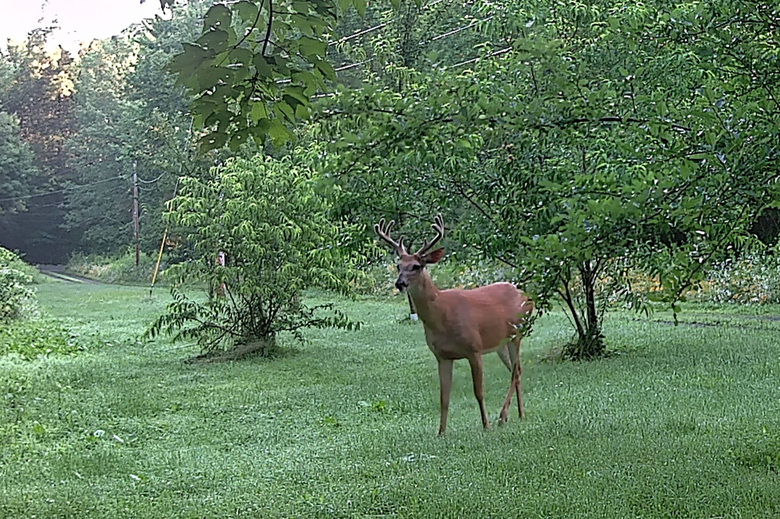 Look who came to wish me a happy birthday!