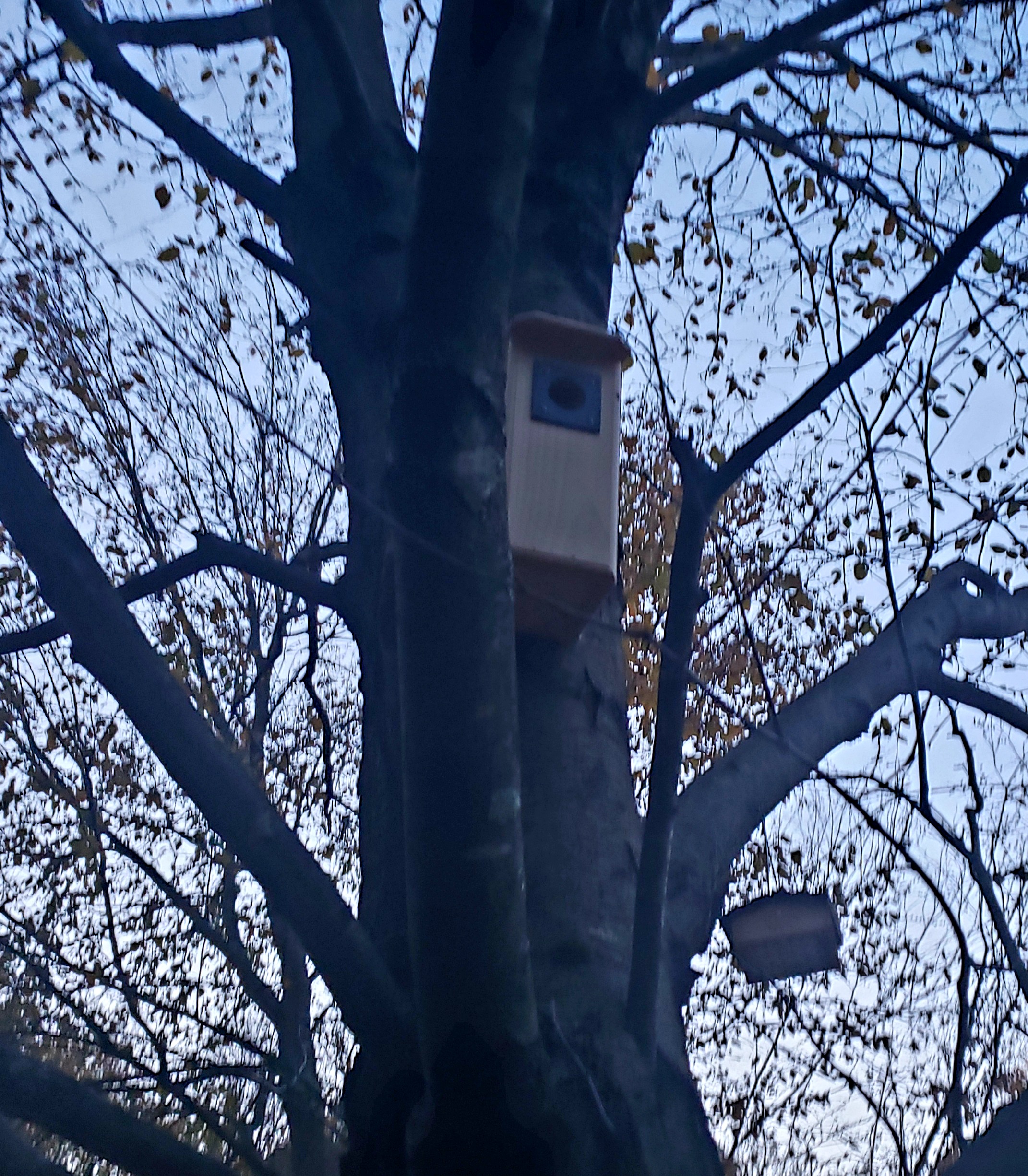 Nakke Nakuttaja's House
