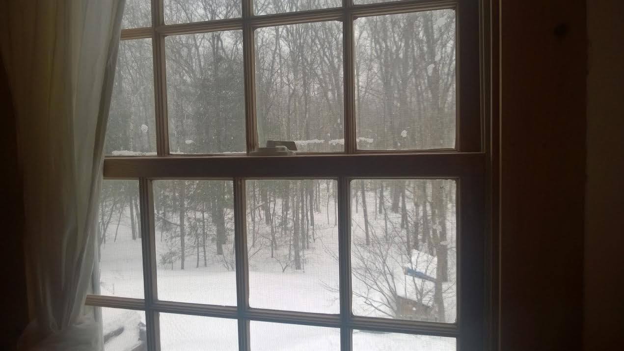 Cold Comfort Farm