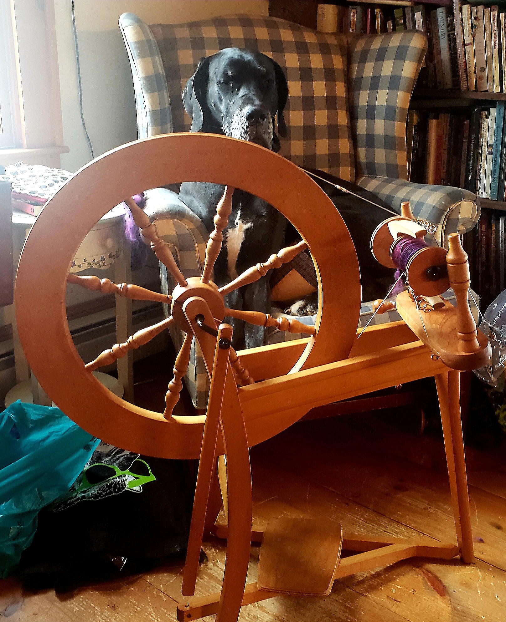 The New Craft Circle