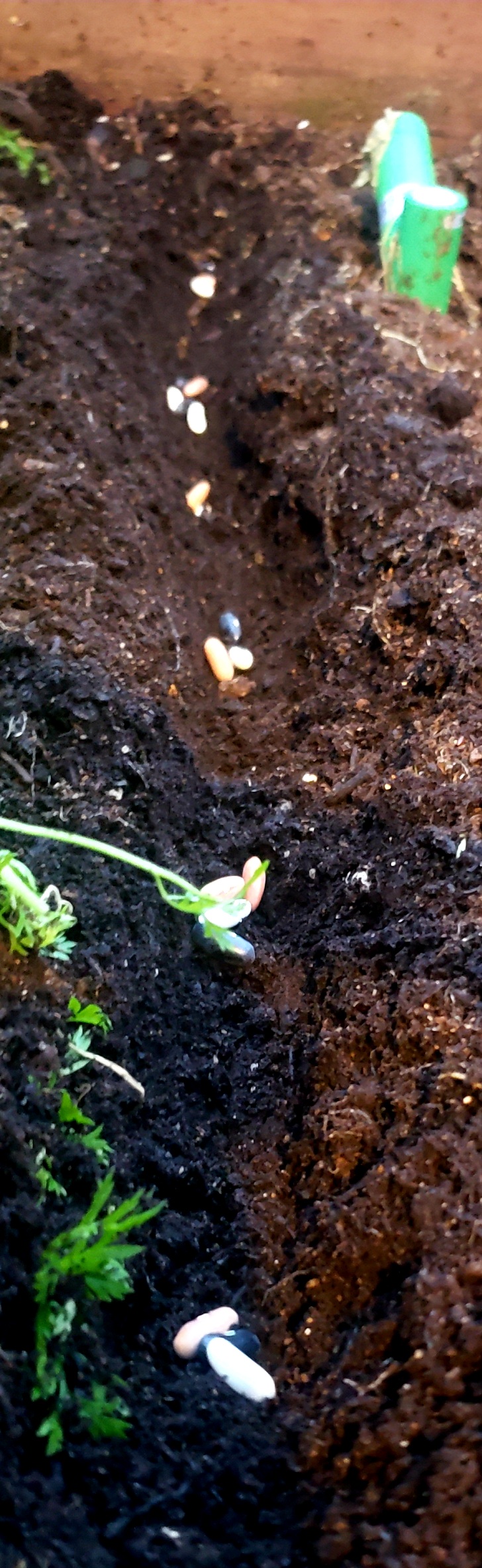 How Hard Is Homesteading?