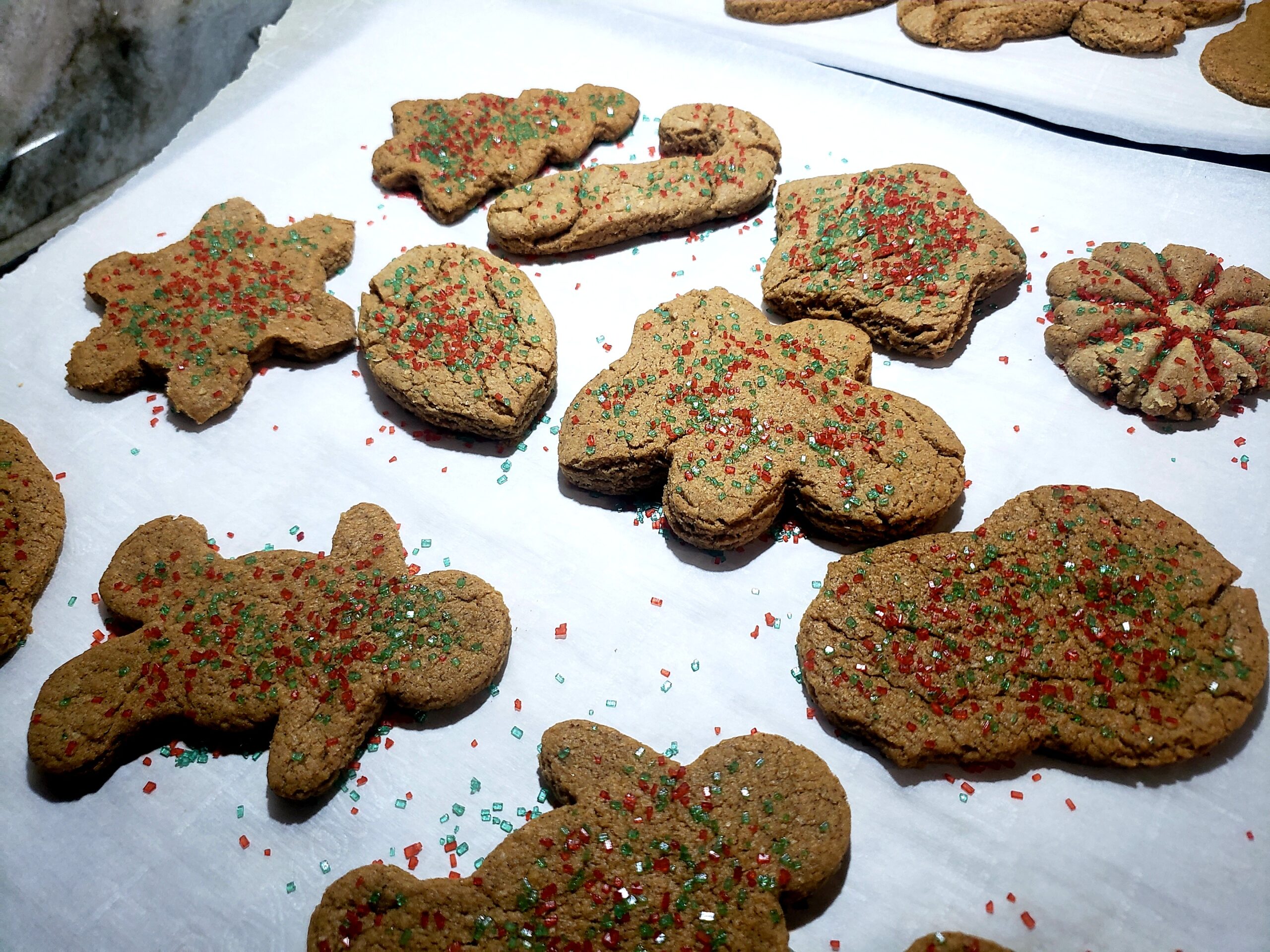 This Year’s Gingerbread Cookies