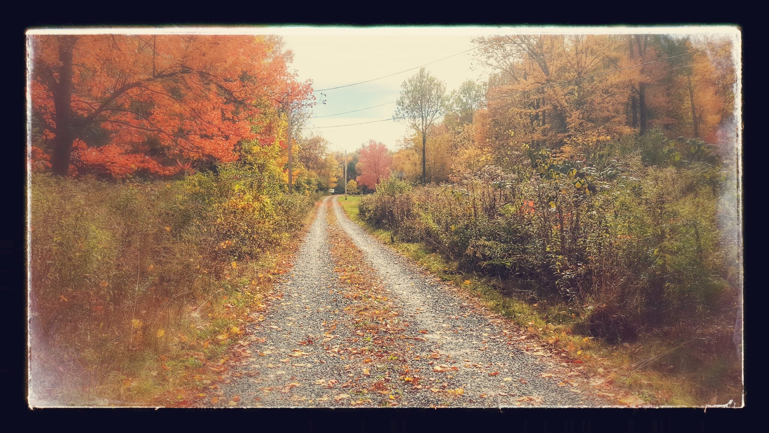 Home
