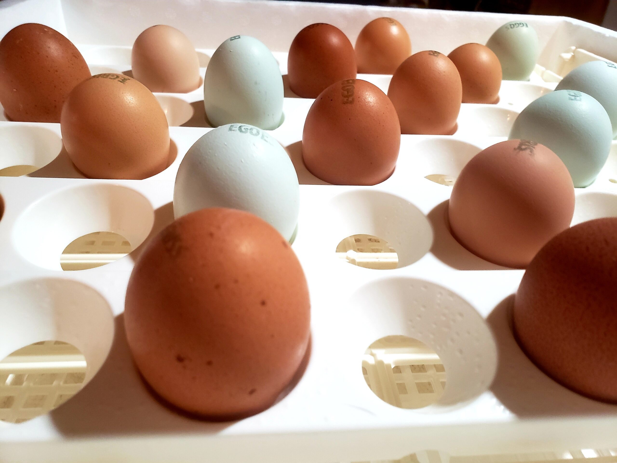 The Accumulated Farm Wealth