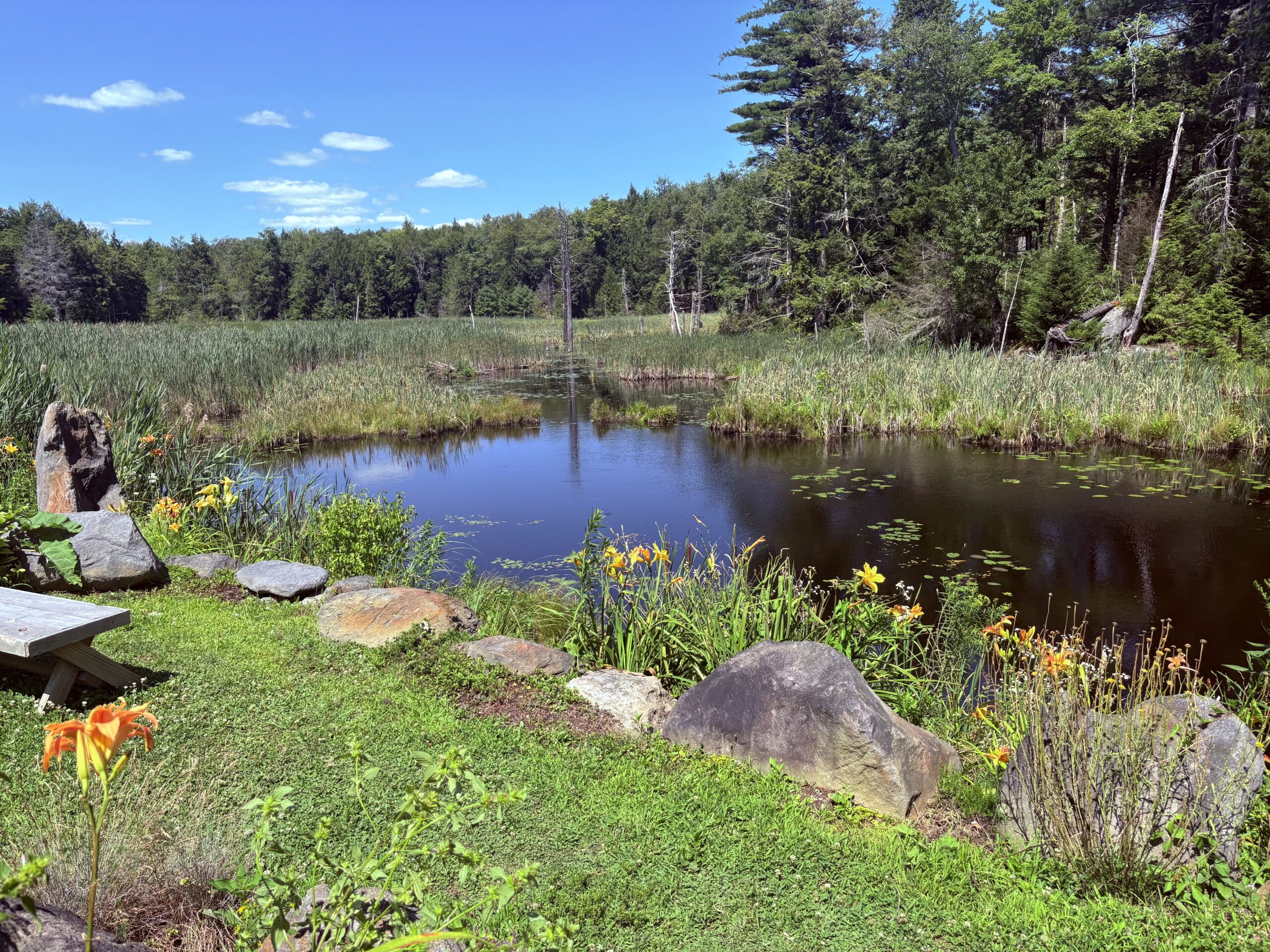 3 Sisters Sanctuary Out In Western MA
