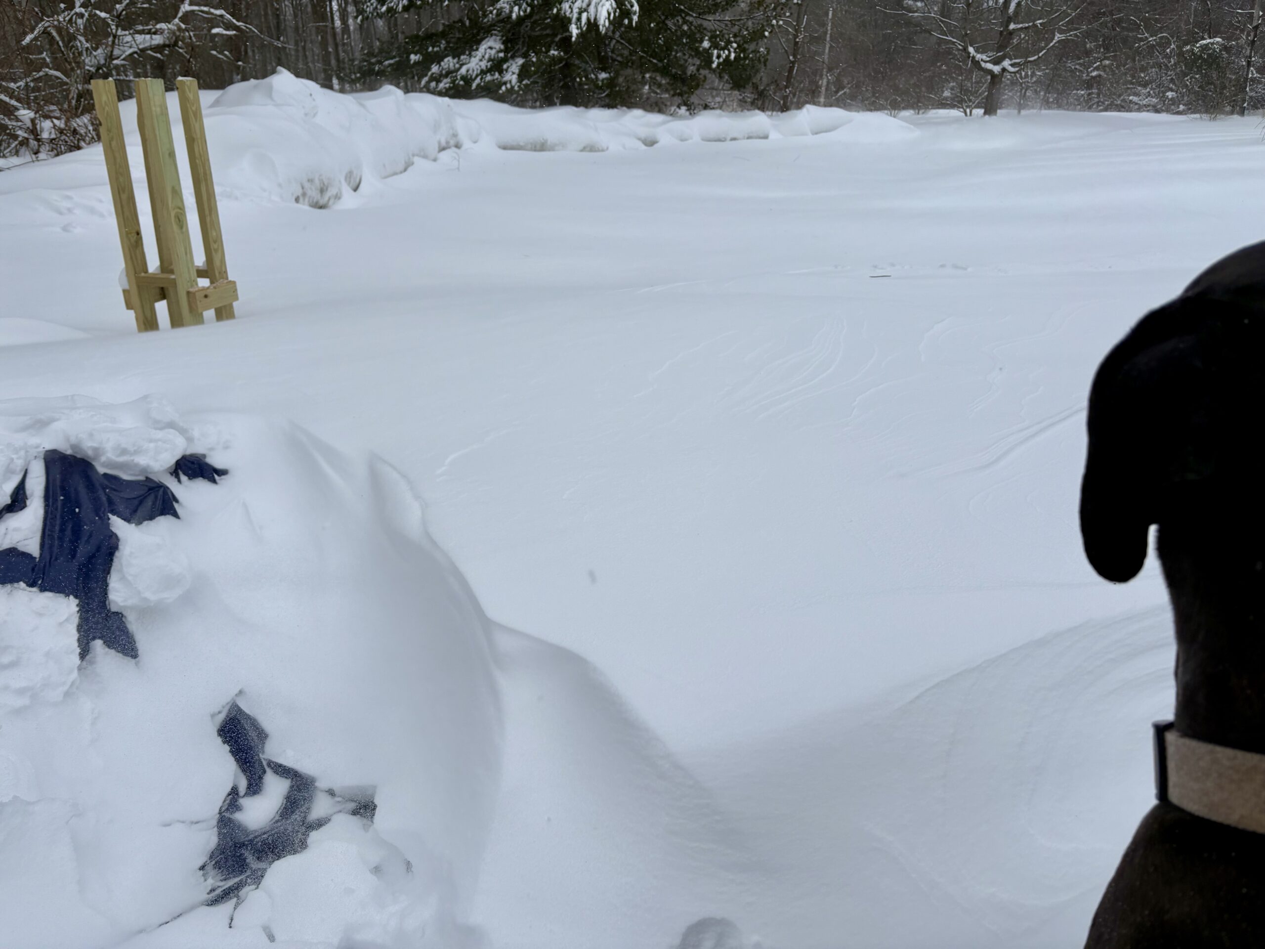 The Second Coming Of The Blizzard Of 78